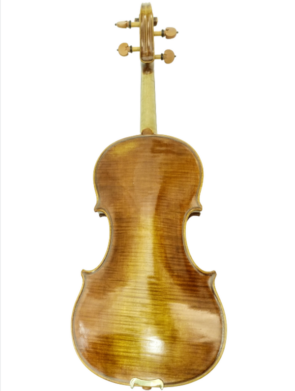 Viola