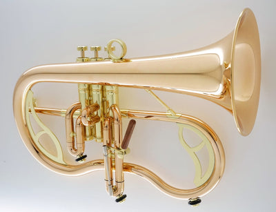 Carol Brass CFL-9990R-RSS, with Legend braces