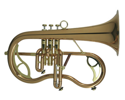 Carol Brass Doug Teeter Model