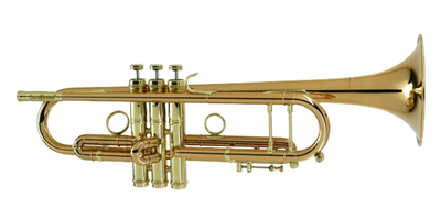 Carol Brass CTR-9990L-RSM(D)-Bb,
Legend braces