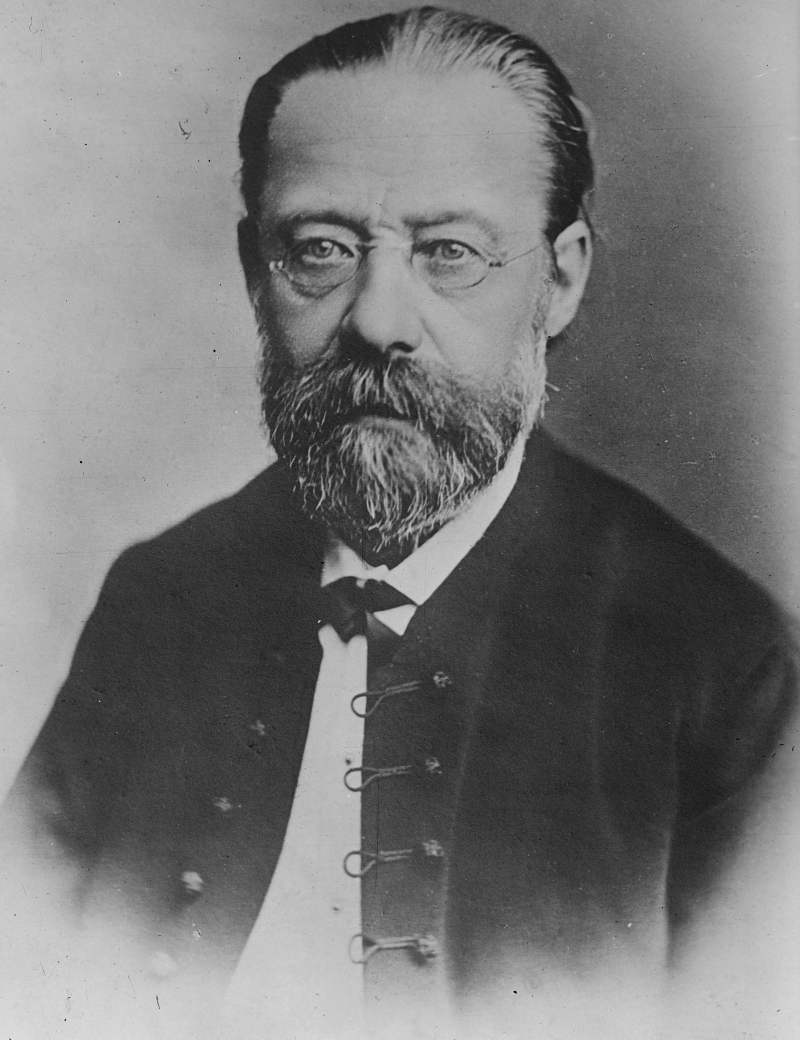Smetana, Bedrich portrait