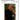2 Sonatines for Clarinet, Op. post. 137 — Richard Stoltzman 21st Century Series for Clarinet Clarinet and P