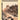 Scott Joplin's Greatest Hits