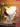 Lindsey Stirling — Violin Play-Along Volume 35