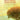 The Most Beautiful Songs Ever