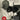 Irish Tunes for Fiddle — Musical Memories, Volume 2