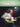 Daniel Donato - The New Master of the Telecaster — Pathways to Dynamic Solos