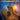 First 50 Songs You Should Play on Acoustic Guitar