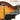 The Mandolin in America