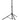 SP100 — Single Heavy Duty Speaker Stand