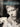 Best of Harry Nilsson