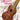 The Romantic Ukulele