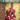 Gypsy Jazz