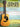 30 Easy Folk Guitar Solos