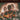 Jake Shimabukuro - Live in Japan
