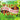 Tuck Everlasting - Vocal Selections — Music by Chris Miller Lyrics by Nathan Tysen
