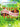 Tuck Everlasting - Vocal Selections — Music by Chris Miller Lyrics by Nathan Tysen
