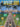 Fretboard Roadmaps - Baritone Ukulele — The Essential Patterns That All the Pros Know and Use
