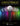 A Cappella Warm-Ups