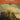 The Symphony — 55 Excerpts from Symphonies by 18 Composers