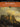 The Symphony — 55 Excerpts from Symphonies by 18 Composers