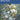 Johann Strauss — 28 Waltzes, Polkas and Quadrilles