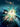 A Wrinkle in Time — Music from the Motion Picture Soundtrack