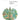 Songs the Plants Taught Us