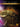 First 50 Songs You Should Play on Dobro�