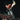 The Essential Johnny Cash