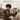 The James Booker Collection