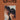 Carpenters Anthology