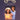 Best of Carpenters