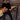 Bob Seger - Greatest Hits
