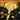 The Dailey & Vincent Songbook