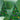 Best Christmas Music