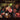 Irish Pub Songs