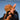 Contemporary Gospel Hits