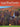 Gospel Hymn Favorites