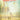 Road Show — Vocal Selections