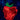 Across the Universe — Music from the Motion Picture