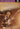 Best of Stevie Ray Vaughan — Signature Licks DVD