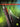 First 50 Songs You Should Play on Bassoon — A Must-Have Collection of Well-Known Songs, Including Several Bassoon Features!