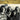 Creedence Clearwater Revival - Deluxe Guitar Play-Along Vol. 23 — Book with Interactive Online Audio Interface