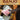 Country Classics for Banjo — 20 Favorites for 5-String Clawhammer Banjo