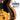 The Epiphone Guitar Book