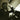 The Music of Lutoslawski — Expanded Third Edition