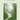 I Am Going to a Garden