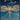 Gloria! Noel! — Music for Organ by Grimoaldo Macchia