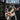 Songs for Beginners